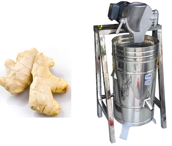 ginger juice machine