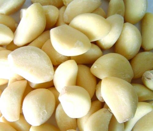 garlic
