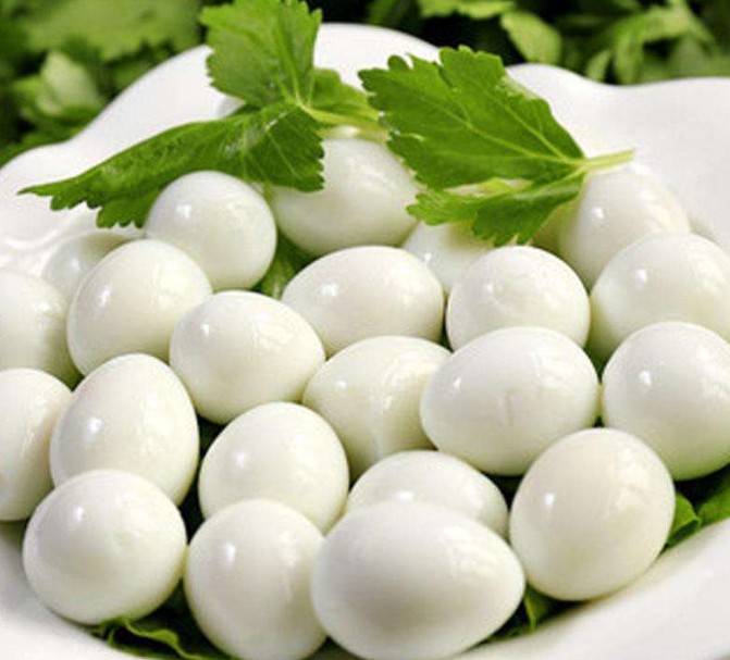 quail egg.JPG