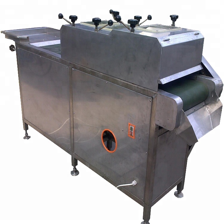 Preserved Fruit Honey Date Cube Cutting Machine