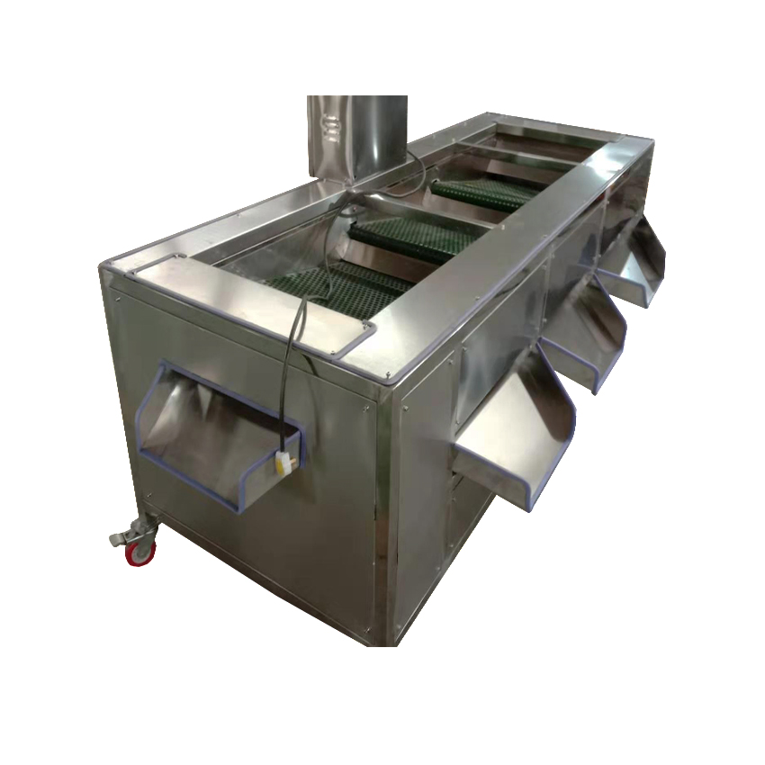 Automatic fruit sorter blueberry grader sorting machine