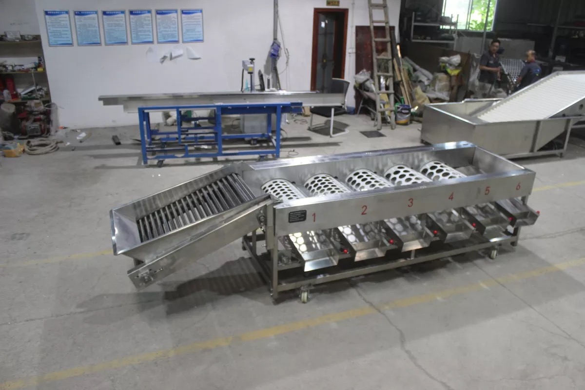 lemon sorting machine