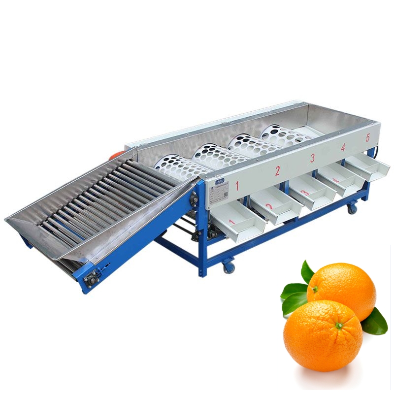 Hot Selling Promotional Orange Size Sorting Machines Price