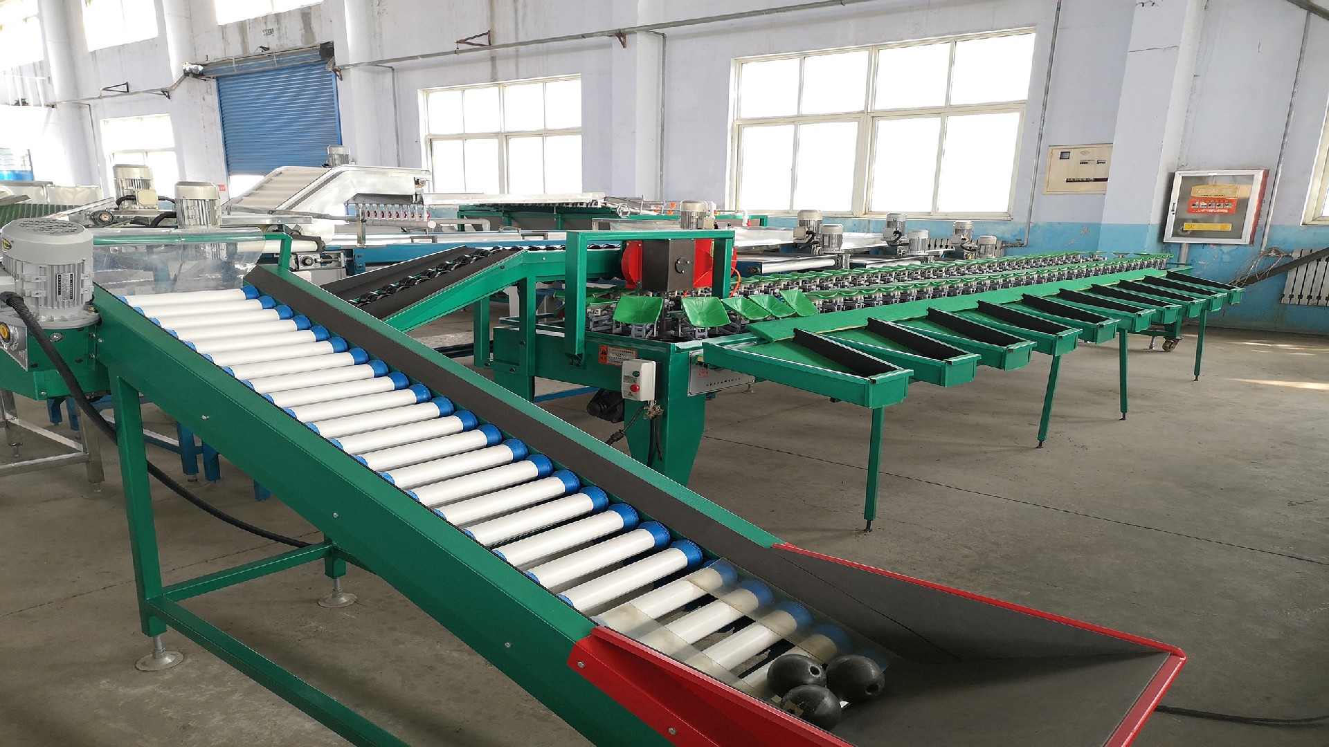 Fruit Sorting Machine Exported to Bangladesh