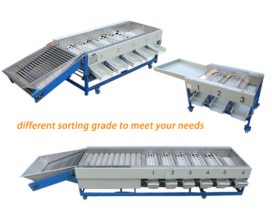 Tomato Size Sorting Machine