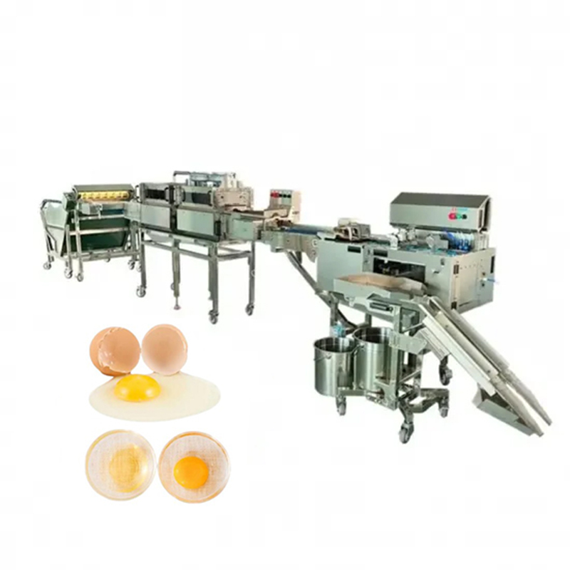 Egg washing, drying, testing, sterilization, and order processing production line
